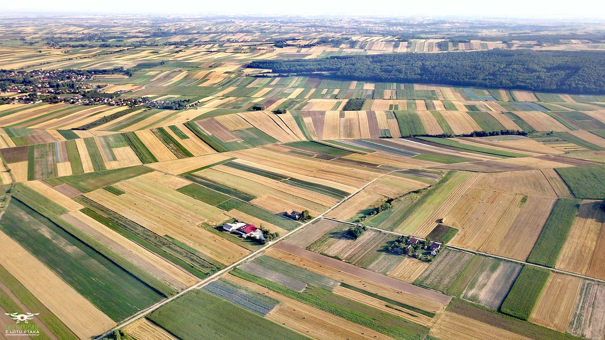 AGROPOLE production plant – dried vegetables, herbs, spices